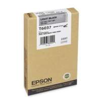 Epson T603700 OEM ink cartridge, light black